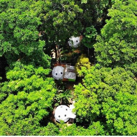 Faith Glamping Dome Costa Rica Hotel Manzanillo  Bagian luar foto