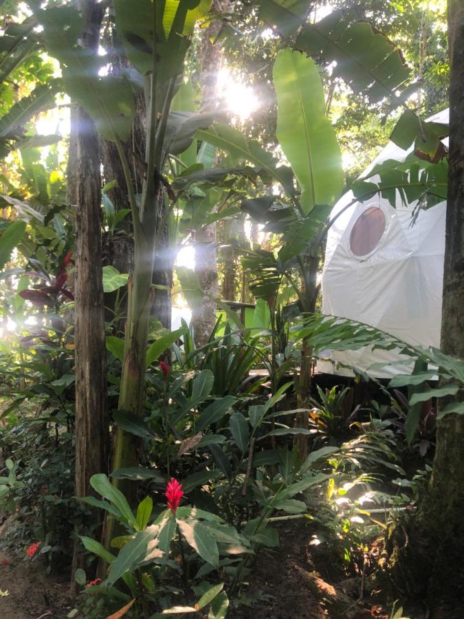 Faith Glamping Dome Costa Rica Hotel Manzanillo  Bagian luar foto